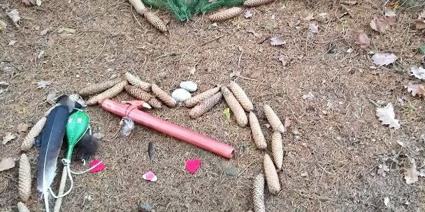 IMG_20171104_145625-768×1027