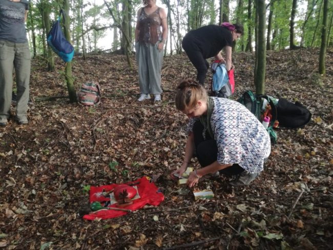 IMG_20180729_132509-800×600