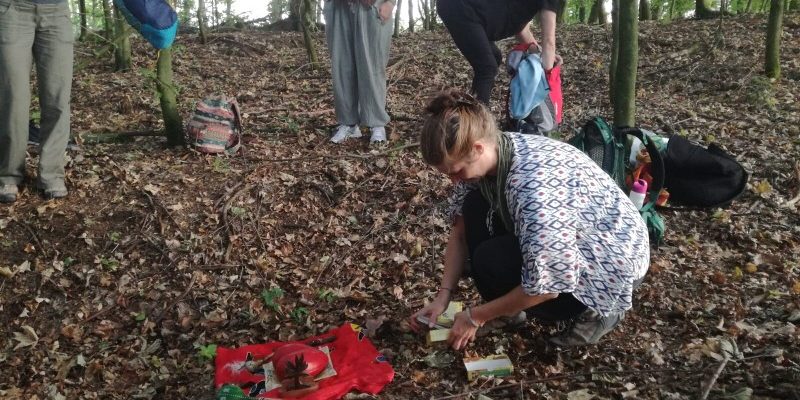 IMG_20180729_132509-800×600